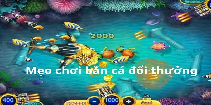 Bắn Cá Một vài mẹo trải nghiệm hiệu quả cho người mới